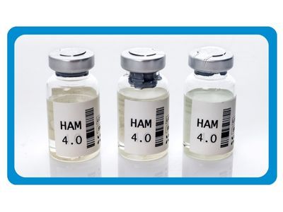 HAM 4.00.jpg